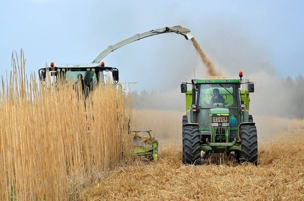 Quels sont les métiers de l'écologie et comment y accéder ?