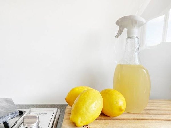 Les alternatives écologiques : un choix durable pour des produits ménagers plus sains !
