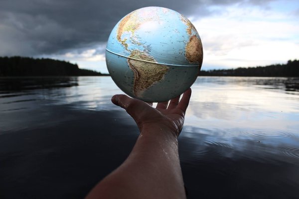 Quelles sont les actions et les campagnes menées par les ONG écologiques ?