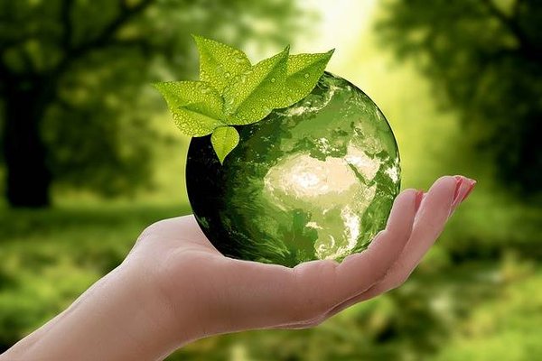 Qu'est-ce que ça veut dire écologique ?