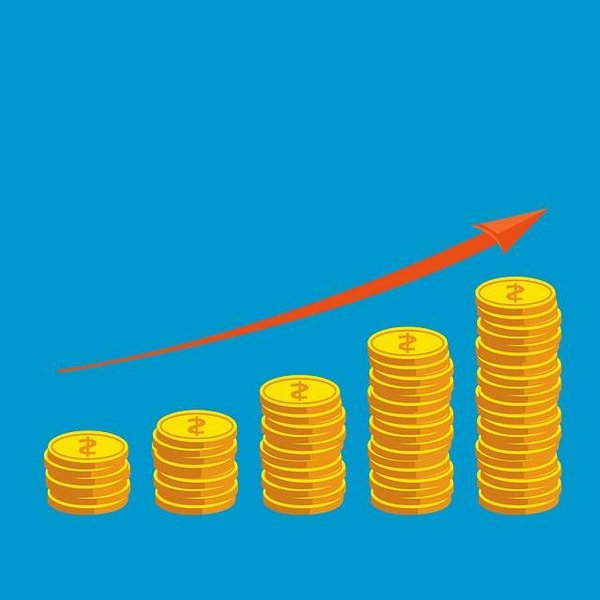 Quels sont les principes de l'économie ?